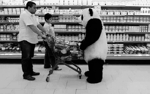 google panda gif supermercado